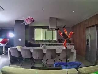 voyeurcam-casa-salsa-fishtank
