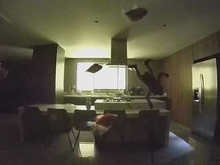 voyeurcam-casa-salsa-fishtank