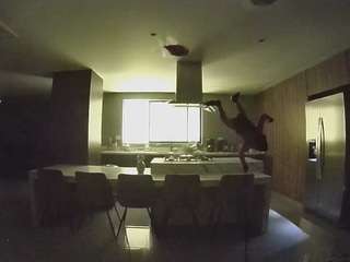 voyeurcam-casa-salsa-fishtank