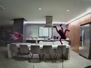 voyeurcam-casa-salsa-fishtank