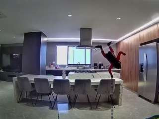 voyeurcam-casa-salsa-fishtank