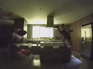 voyeurcam-casa-salsa-fishtank