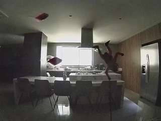 voyeurcam-casa-salsa-fishtank