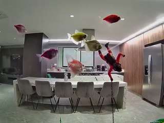 voyeurcam-casa-salsa-fishtank