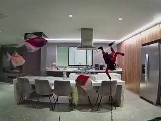 voyeurcam-casa-salsa-fishtank