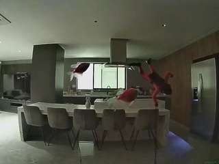 voyeurcam-casa-salsa-fishtank