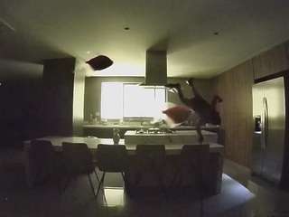 voyeurcam-casa-salsa-fishtank