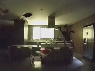 voyeurcam-casa-salsa-fishtank