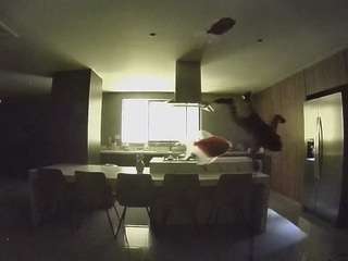 voyeurcam-casa-salsa-fishtank