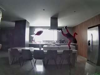 voyeurcam-casa-salsa-fishtank