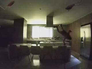 voyeurcam-casa-salsa-fishtank
