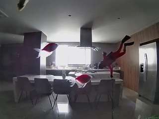 voyeurcam-casa-salsa-fishtank