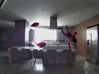 voyeurcam-casa-salsa-fishtank
