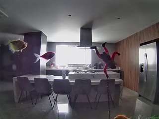 voyeurcam-casa-salsa-fishtank