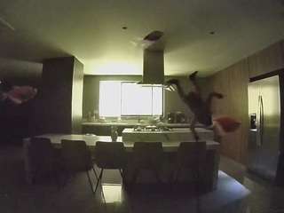 voyeurcam-casa-salsa-fishtank