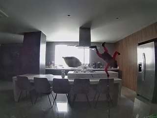 voyeurcam-casa-salsa-fishtank