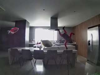 voyeurcam-casa-salsa-fishtank