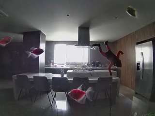 voyeurcam-casa-salsa-fishtank