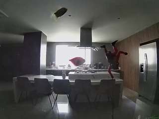 voyeurcam-casa-salsa-fishtank