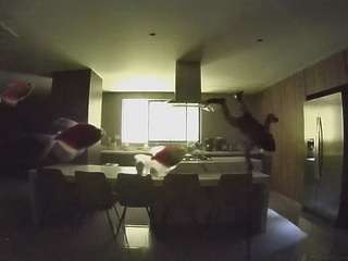 voyeurcam-casa-salsa-fishtank