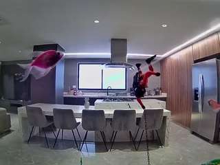 voyeurcam-casa-salsa-fishtank