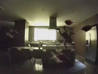voyeurcam-casa-salsa-fishtank
