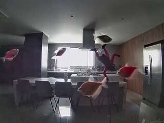 voyeurcam-casa-salsa-fishtank