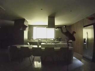 voyeurcam-casa-salsa-fishtank