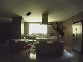 voyeurcam-casa-salsa-fishtank