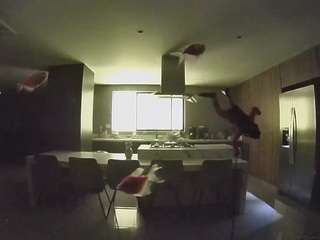 voyeurcam-casa-salsa-fishtank