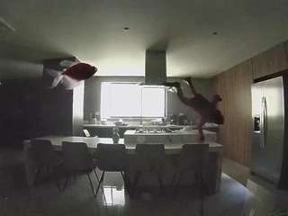voyeurcam-casa-salsa-fishtank