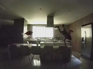 voyeurcam-casa-salsa-fishtank