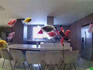 voyeurcam-casa-salsa-fishtank