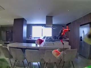 voyeurcam-casa-salsa-fishtank