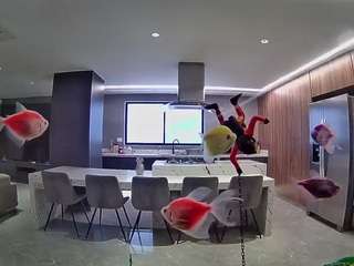 voyeurcam-casa-salsa-fishtank