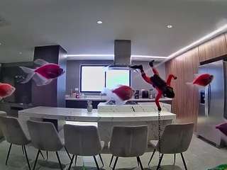 voyeurcam-casa-salsa-fishtank