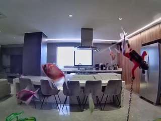voyeurcam-casa-salsa-fishtank