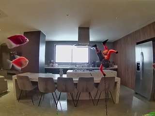 voyeurcam-casa-salsa-fishtank