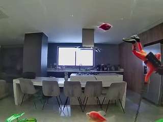 voyeurcam-casa-salsa-fishtank