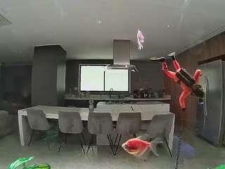 voyeurcam-casa-salsa-fishtank
