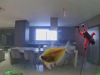 voyeurcam-casa-salsa-fishtank