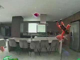 voyeurcam-casa-salsa-fishtank