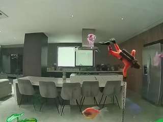 voyeurcam-casa-salsa-fishtank