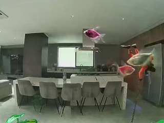 voyeurcam-casa-salsa-fishtank