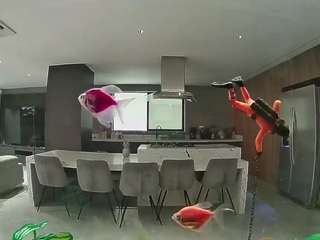 voyeurcam-casa-salsa-fishtank