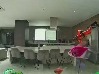 voyeurcam-casa-salsa-fishtank