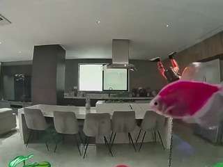 voyeurcam-casa-salsa-fishtank