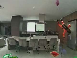 voyeurcam-casa-salsa-fishtank