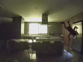 voyeurcam-casa-salsa-fishtank