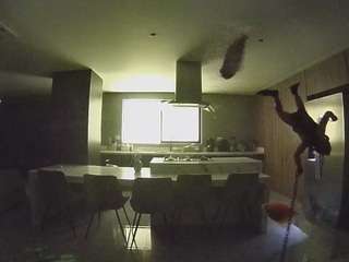 voyeurcam-casa-salsa-fishtank